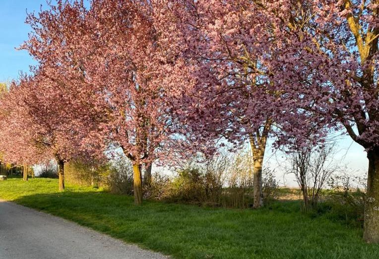 Gite A La Ferme - Confort & Nature Senouillac Dış mekan fotoğraf